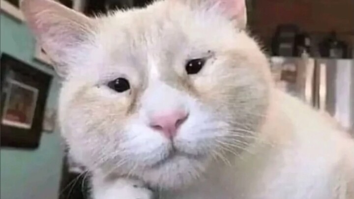 Loạt tranh vui nhộn hài hước 002