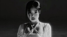 【ซูซุยเจิ้น】231025《ป่าดำ》