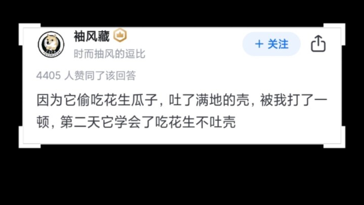 你做过什么特别对不起自家宠物的事情？
