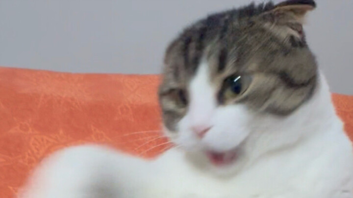 Immersive sucking!