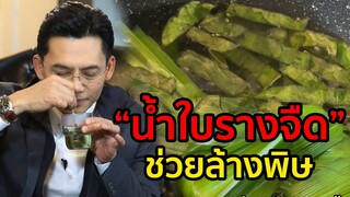 น้ำใบรางจืดช่วยล้างพิษในร่างกาย l อาหารเป็นยา l ชุมทางฮอตโชว์