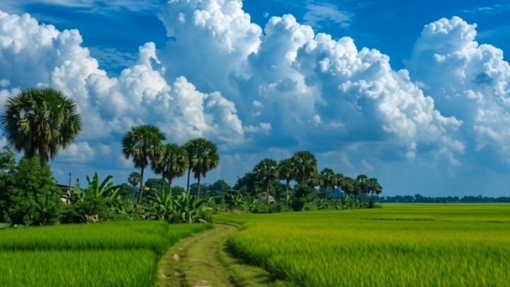Beautiful Village Life in Kurigram, Bangladesh 🇧🇩 | Real Village Nature