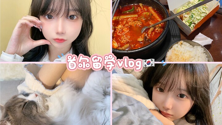 Tiga Tahun Belajar Online, Akhirnya Berangkat Kuliah ke Korea! 【bakaLove】Vlog Studi di Korea