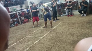 dqc saturday fight