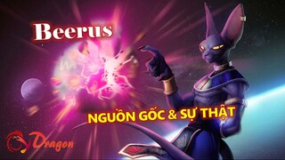 Nguồn gốc và sự thật về Beerus