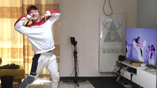 【IZONE】Pushing Physical Limits! Male Fans Challenge Themselves to a Full-Cover Dance of Secret Story