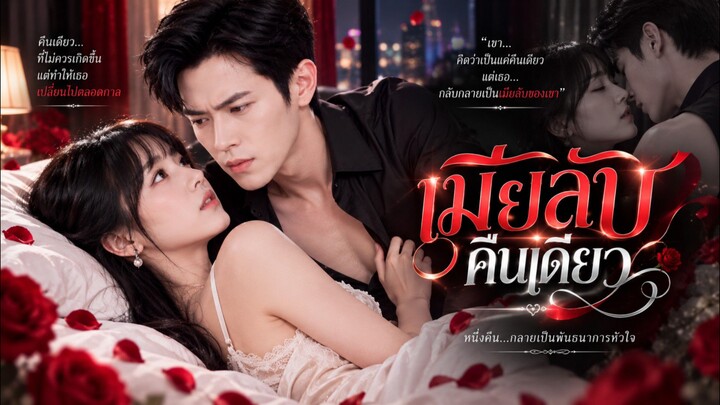 ซีรี่ย์เต็มเรื่อง เรื่องเมียลับคืนเดียว