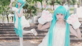 【窝窝头】Nya!萌就一个字，要我说几次！