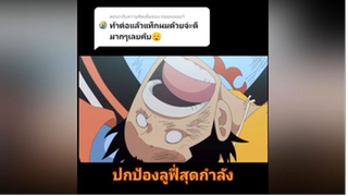 ปกป้องลูฟี่สุดกำลัง