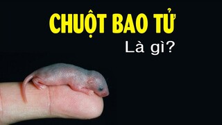 4 Món ăn đáng sợ cho 1 tỷ bạn cũng không dám ăn