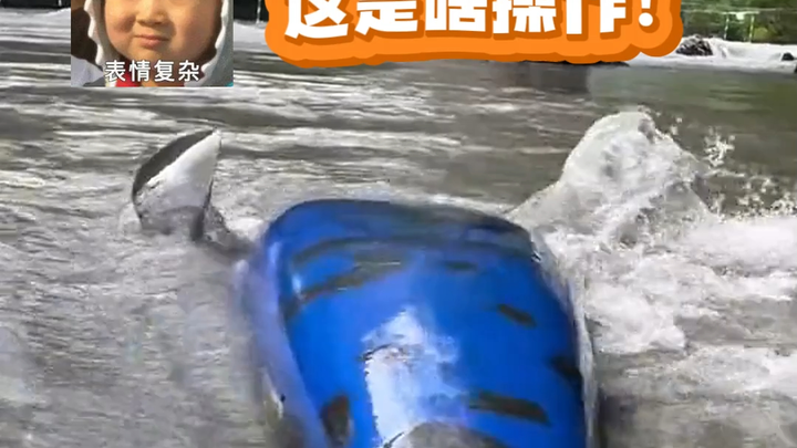 السمكة: لو قلت لك، لن تصدقني، لقد عضّني أحدهم للتو! #ما كنتش أتوقع أبدًا