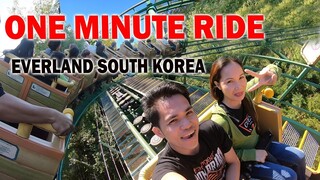 ONE MINUTE RIDE: everland south korea