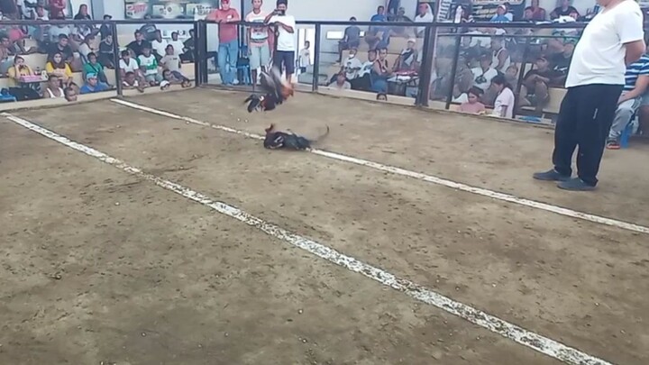 ..