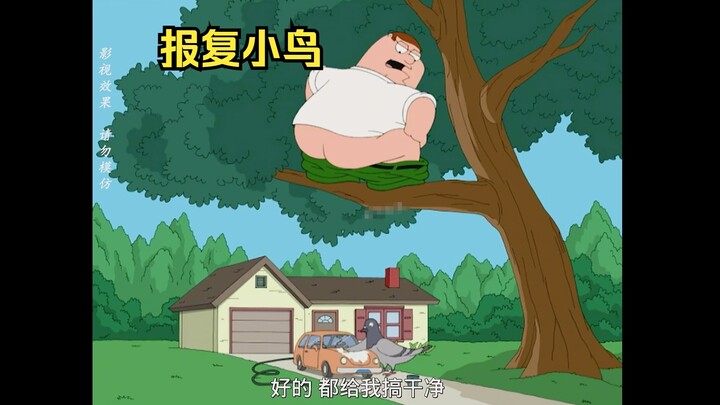 报复小鸟