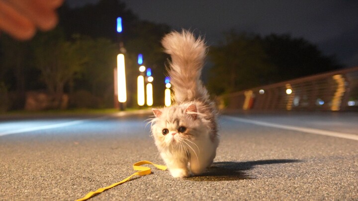 They’ll follow you everywhere the very first time you step out!!!