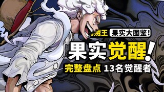 完整盘点海贼王13个恶魔果实觉醒！晋升顶级战力的最强境界！三系果实觉醒各有什么效果？