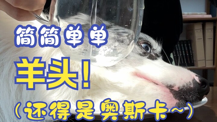 Sederhana tapi keren, kepala domba!