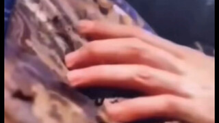 烽火流金捡垃圾，顾帅的手，长庚只是给你按头而已，为什么这么瑟瑟的，你抓床单干什么