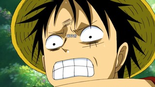 Người phụ nữ mà Luffy sợ nhất và muốn bảo vệ nhất trong đời