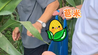 近嫁不光可以蹭吃蹭喝，还可以连吃带拿#搞笑 #记录真实生活 #情侣日常 #花花和纪老憨