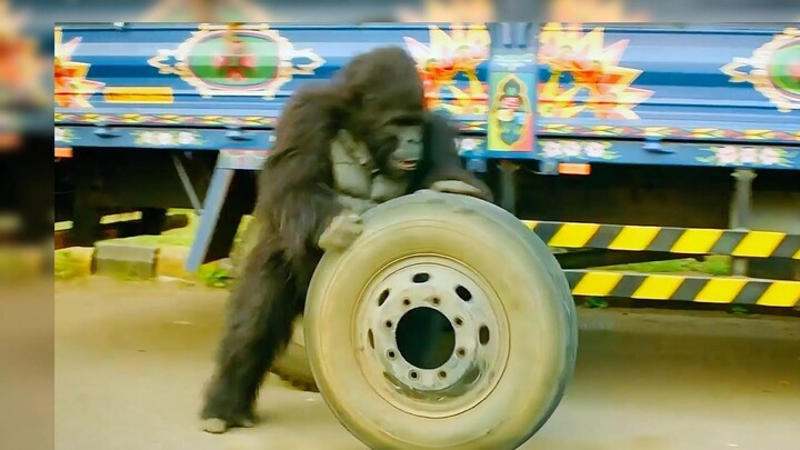 A billionaire, owing the bank 10 billion, disguises himself as a gorilla to escape—only to run into 