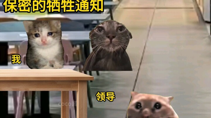 这哪是贫困生呀，这分明是阎王爷！