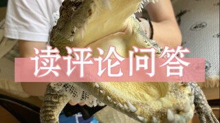 Buaya kecil ada di sini untuk menjawab pertanyaan