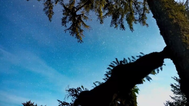 Healing Your Nervous System