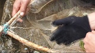 duwali fishing in Nepal | himalayan trout fishing method |