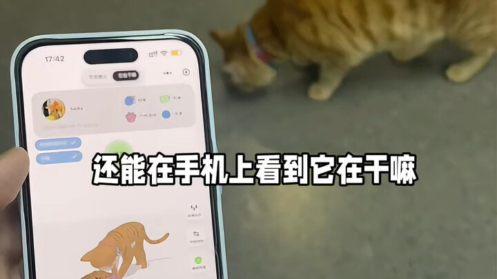 Si jenius kecil yang kami buat untuk kucing di kantor akhirnya selesai!!!!!!