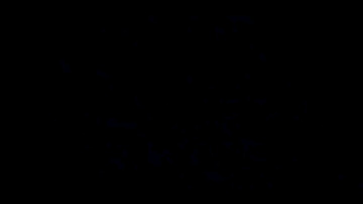 Best fight scene 💯