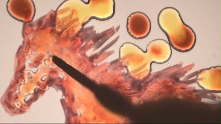 火马出动 Fire Horse Unleashed