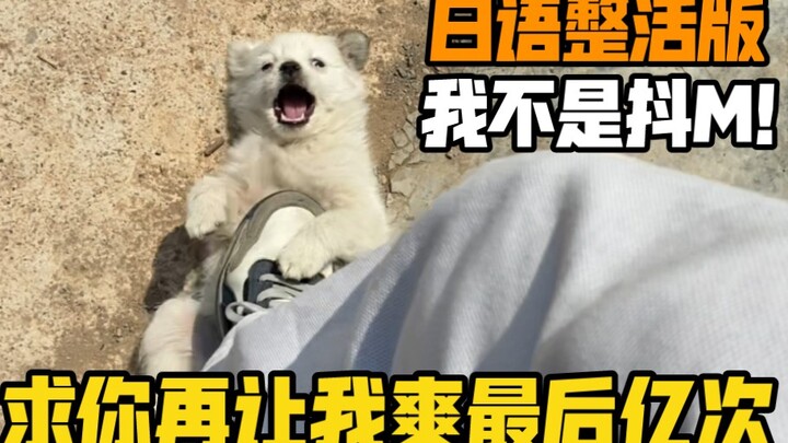 “Tolong Biar Aku Nikmatin Ini Lagi Milyaran Kali!” Versi Gokil Bahasa Jepang