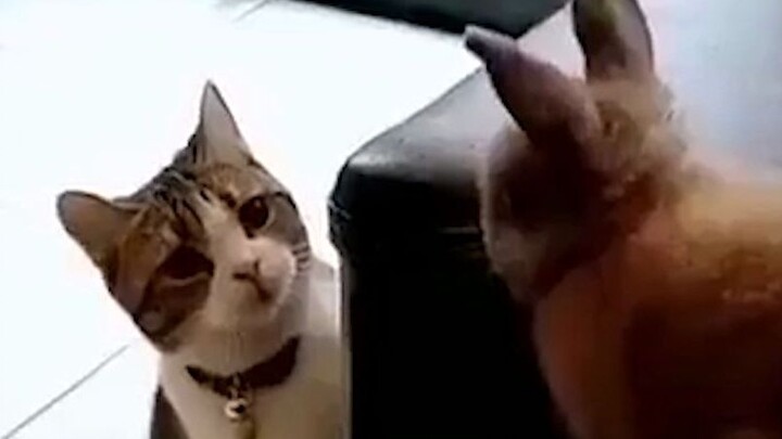 "Confirmed with a glance"