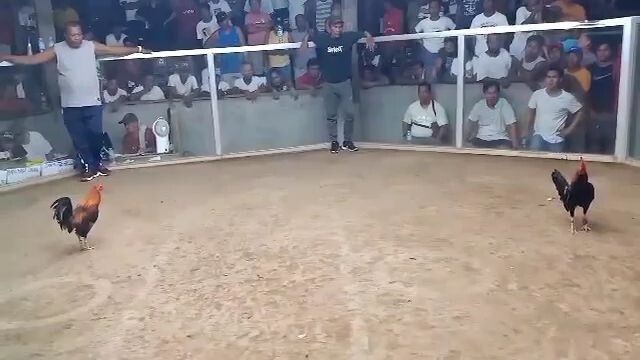 one hit