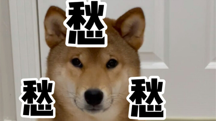 Anak Lelaki Kesayangan Ibu (Dulu dan Sekarang)