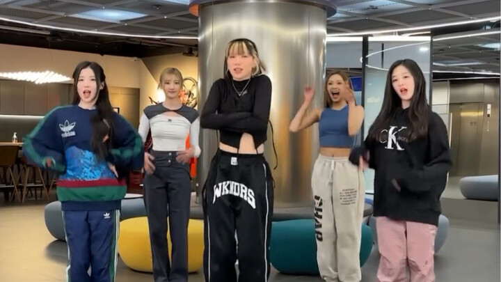 Badalee X Babymonster "SHEESH" Challenge