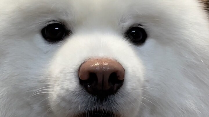 Chúc mừng ngày Quốc tế Thiếu nhi