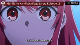 Gorilla no Kami kara Kago sareta Episode 11 Sub Indo