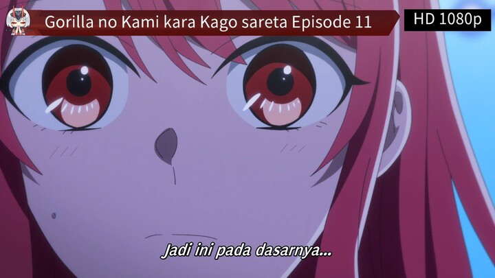 Gorilla no Kami kara Kago sareta Episode 11 Sub Indo