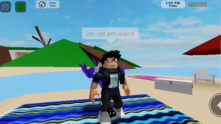 Roblox story plane crash