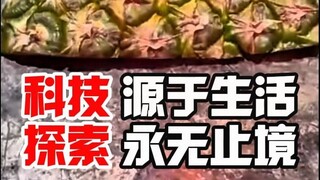 #Technology comes from life, and exploration is endless—inspired by the pineapple peel experiment #S