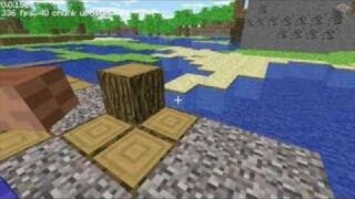 Minecraft Multiplayer Test