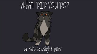 WHAT DID YOU DO | shadowsight pmv | spoilers