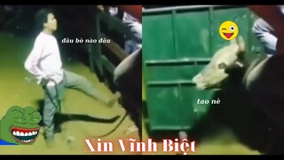 Những đứa con thất lạc của thần biển #65 / Xin Vĩnh Biệt 😂😂😂