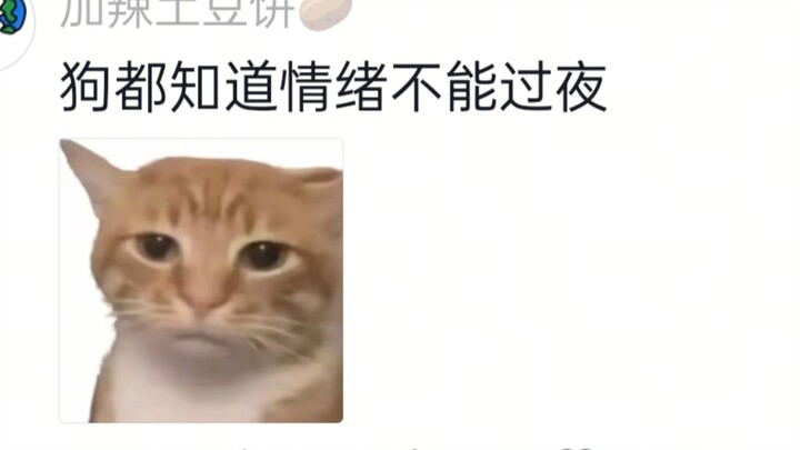 ไม่กล้าทะเลาะกับเจ้าโกลเด้นอีกแล้ว กลางดึกมันเรียกฉันให้ลุกขึ้นมาแก้ปัญหา!