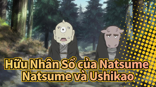 [Hữu Nhân Sổ của Natsume] Natsume và Ushikao no Chuukyuu Youkai_3