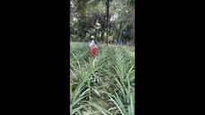 Video Lucu Dari Warga Negara Indonesia Yang Absurd Dan Bikin Ngakak Parah