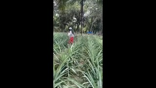 Video Lucu Dari Warga Negara Indonesia Yang Absurd Dan Bikin Ngakak Parah