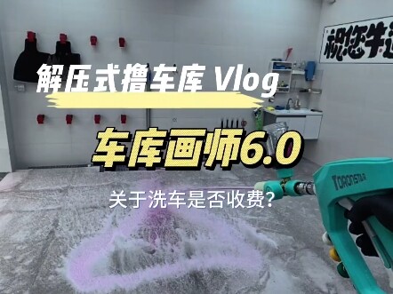 Rau muối điện tử ra mắt, câu hỏi về việc rửa xe có tính phí hay không #rửaxe #thường ngày chăm sóc x
